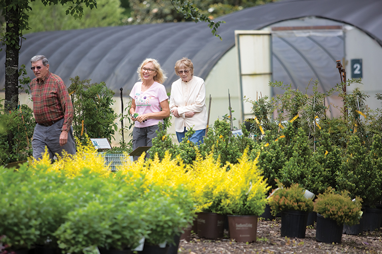 Customers browse Full Bloom Nursery’s wide range of horticultural products, such as the flowers Kellie Bowen hangs in a greenhouse.